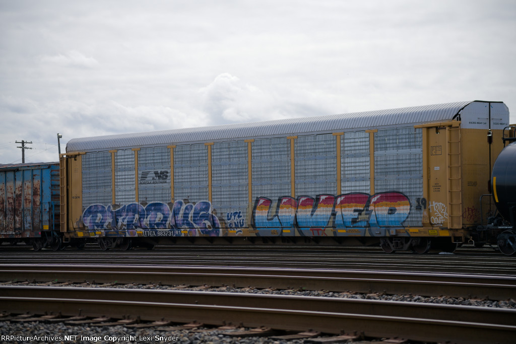 TTGX 983731